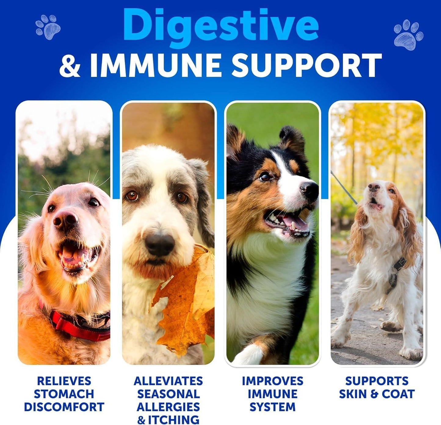 Probiotic Chews for Dogs & Cats - Digestive Health