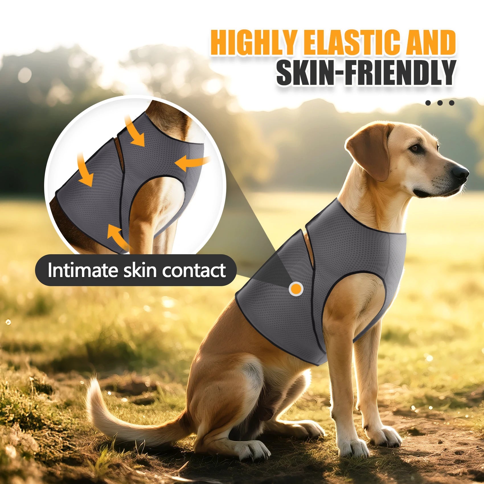 Calming Anxiety Wrap for Dogs - Aliexpress Match