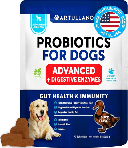 Probiotic Chews for Dogs & Cats - Digestive Health