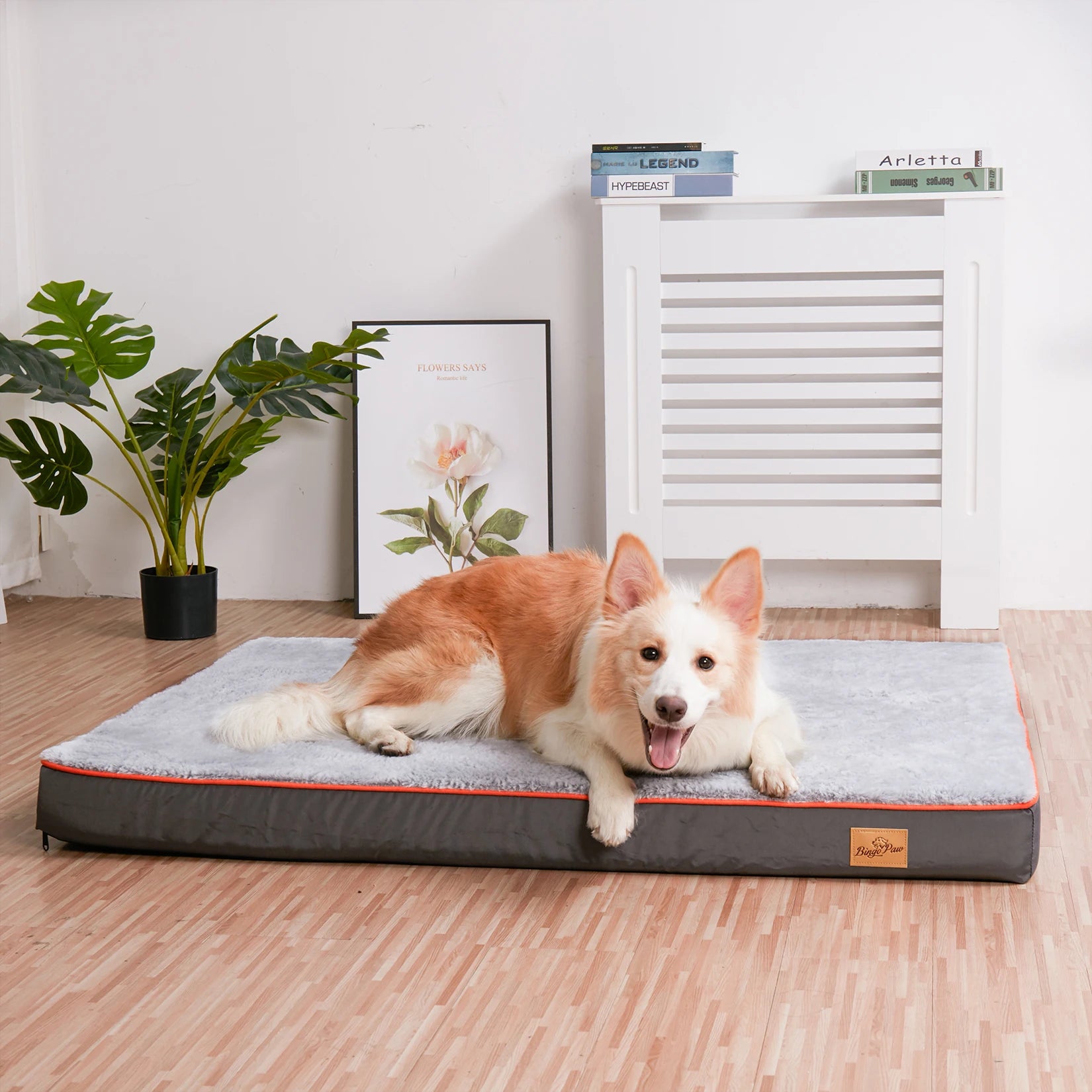 Orthopedic Memory Foam Dog Bed - Aliexpress Match